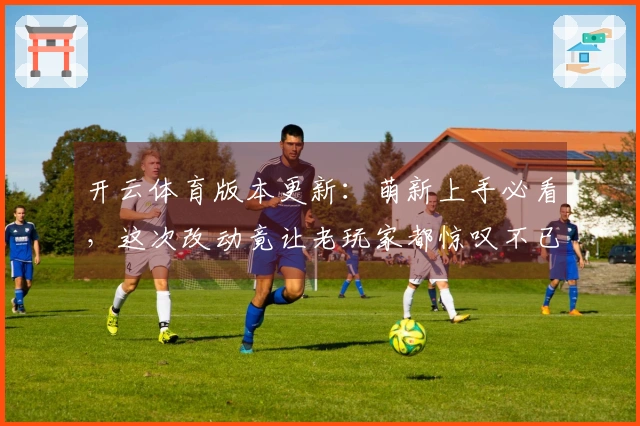 开云体育版本更新：萌新上手必看，这次改动竟让老玩家都惊叹不已！